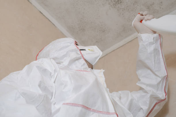 Best Emergency Mold Removal  in Bent Creek, NC