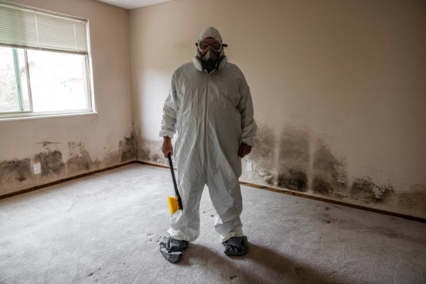 Best Mold Testing  in Bent Creek, NC